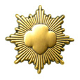 gold_pin
