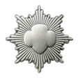 silver_pin